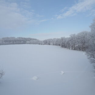 映画「悪は存在しない」の表現方法が素晴らしすぎる。観た後の行動注意。